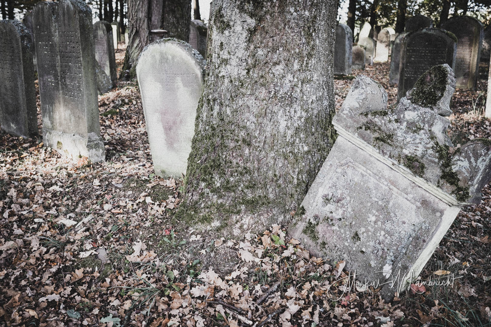 Ebersburg, Jüdischer Friedhof